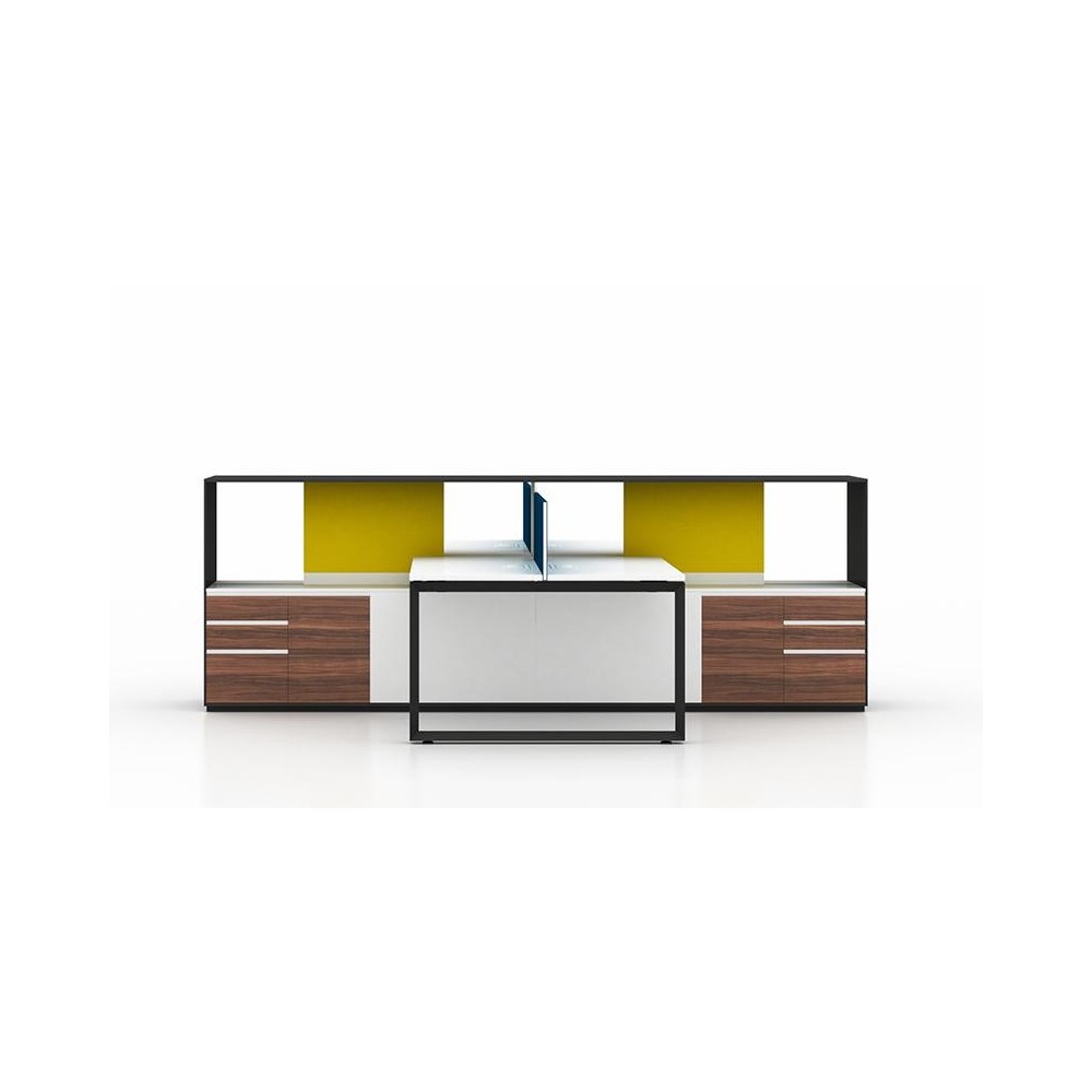 QuadraDesk Pro Station
