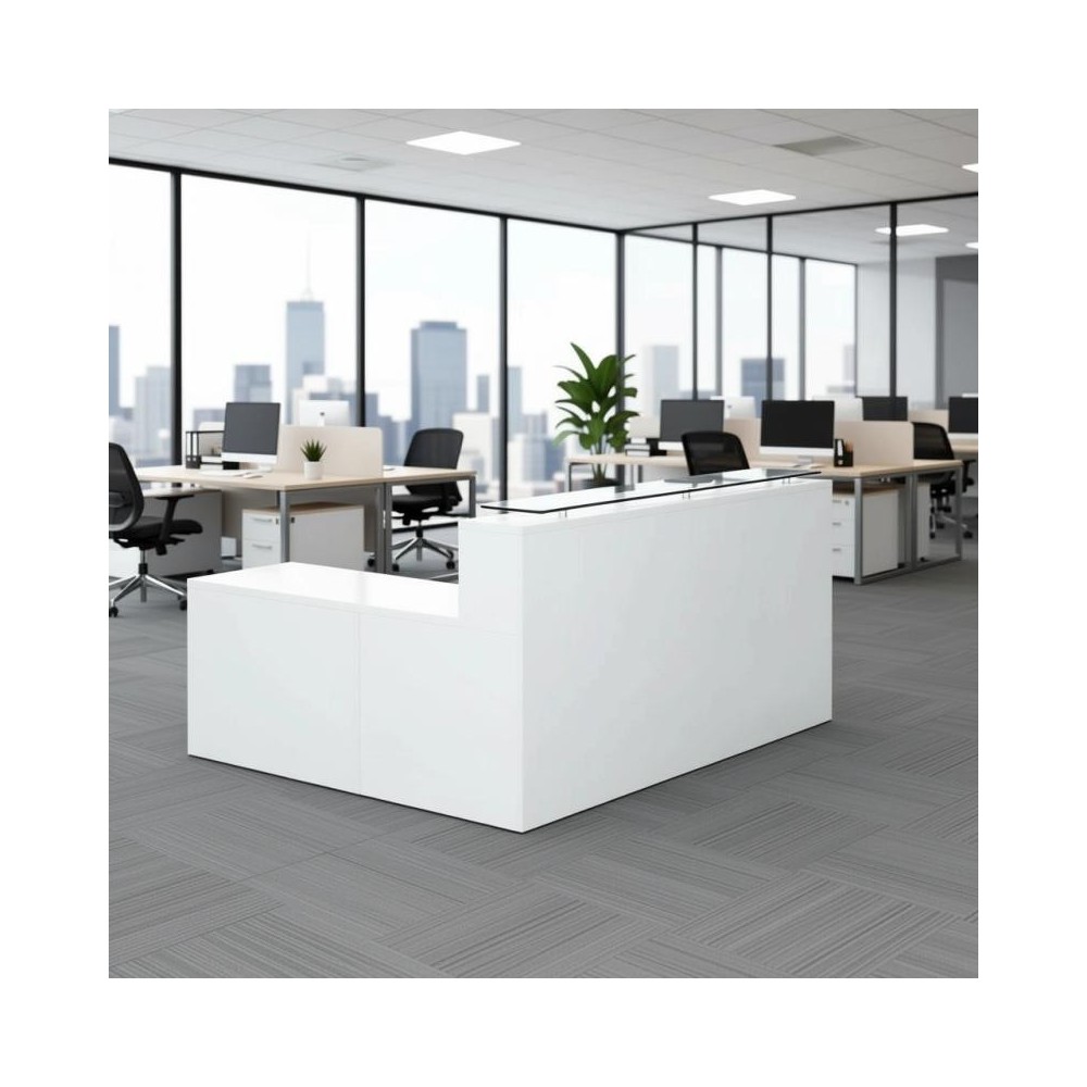 RECEPCIÓN ASPEN
