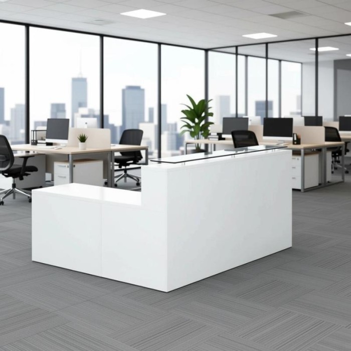 RECEPCIÓN ASPEN