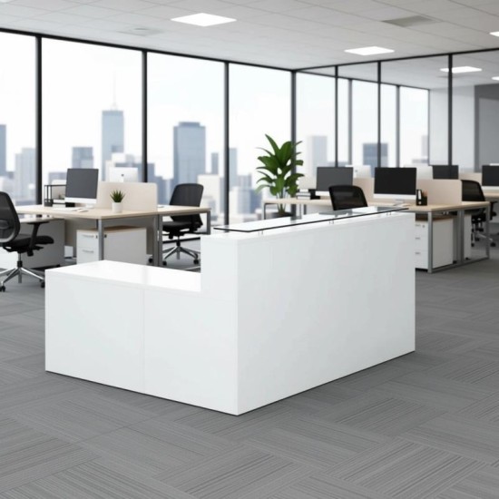 RECEPCIÓN ASPEN