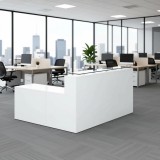 RECEPCIÓN ASPEN