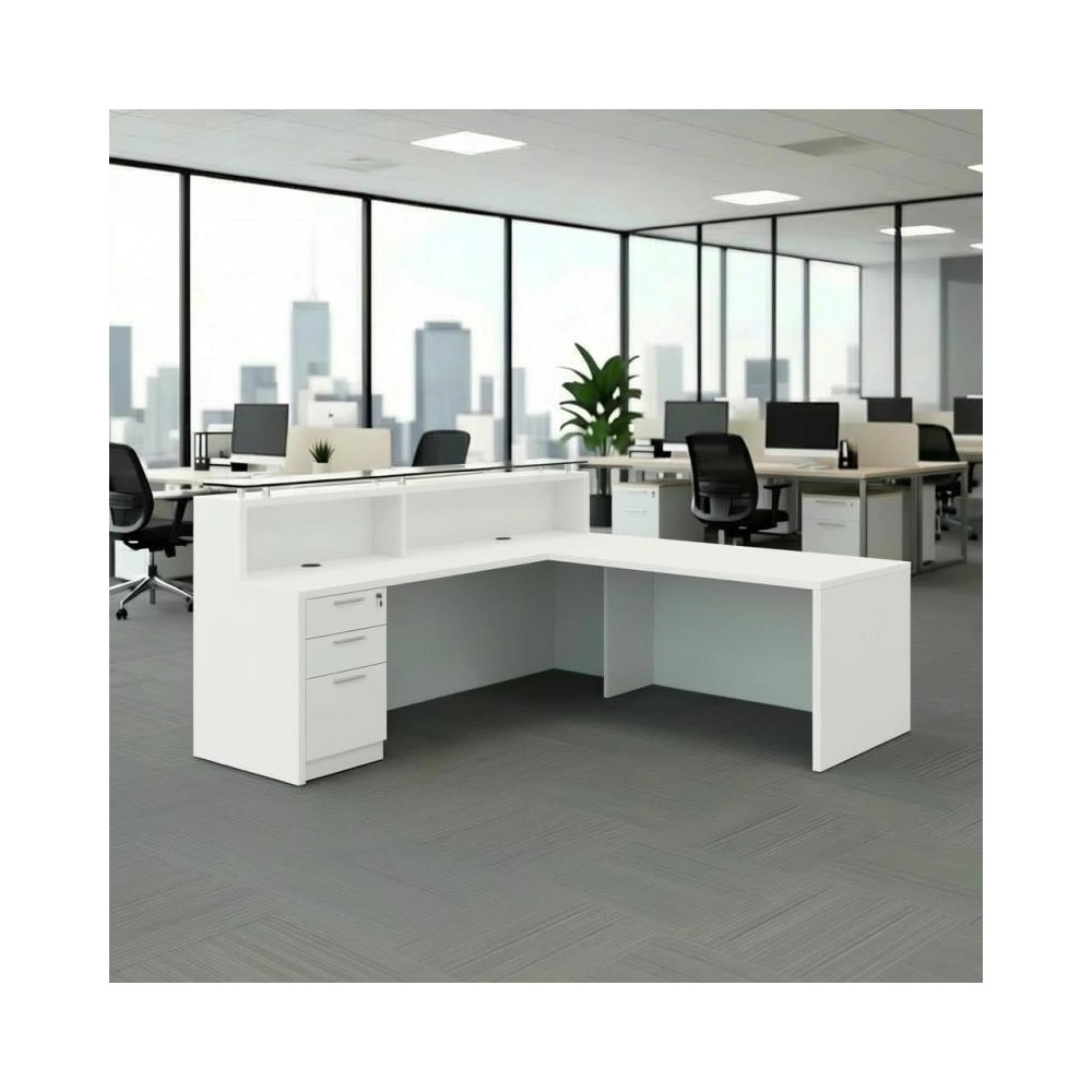 RECEPCIÓN ASPEN