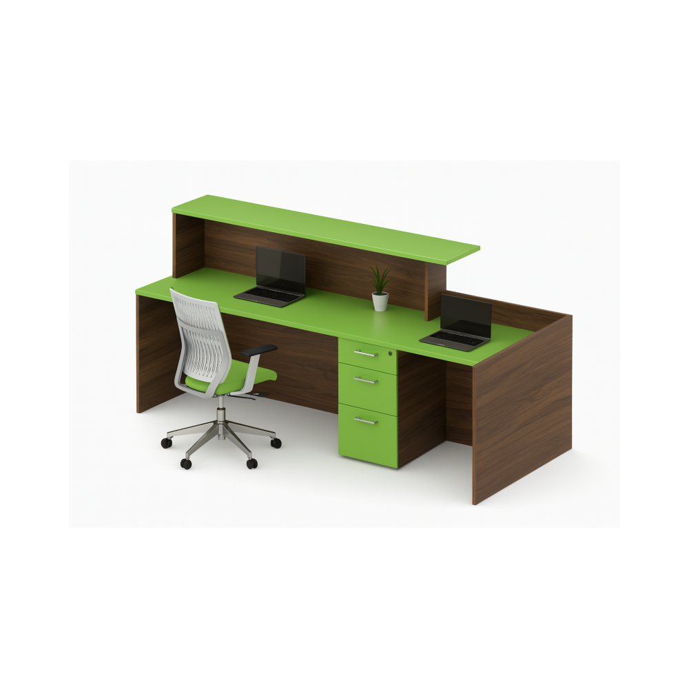 Recepción Evolution / Para Oficina