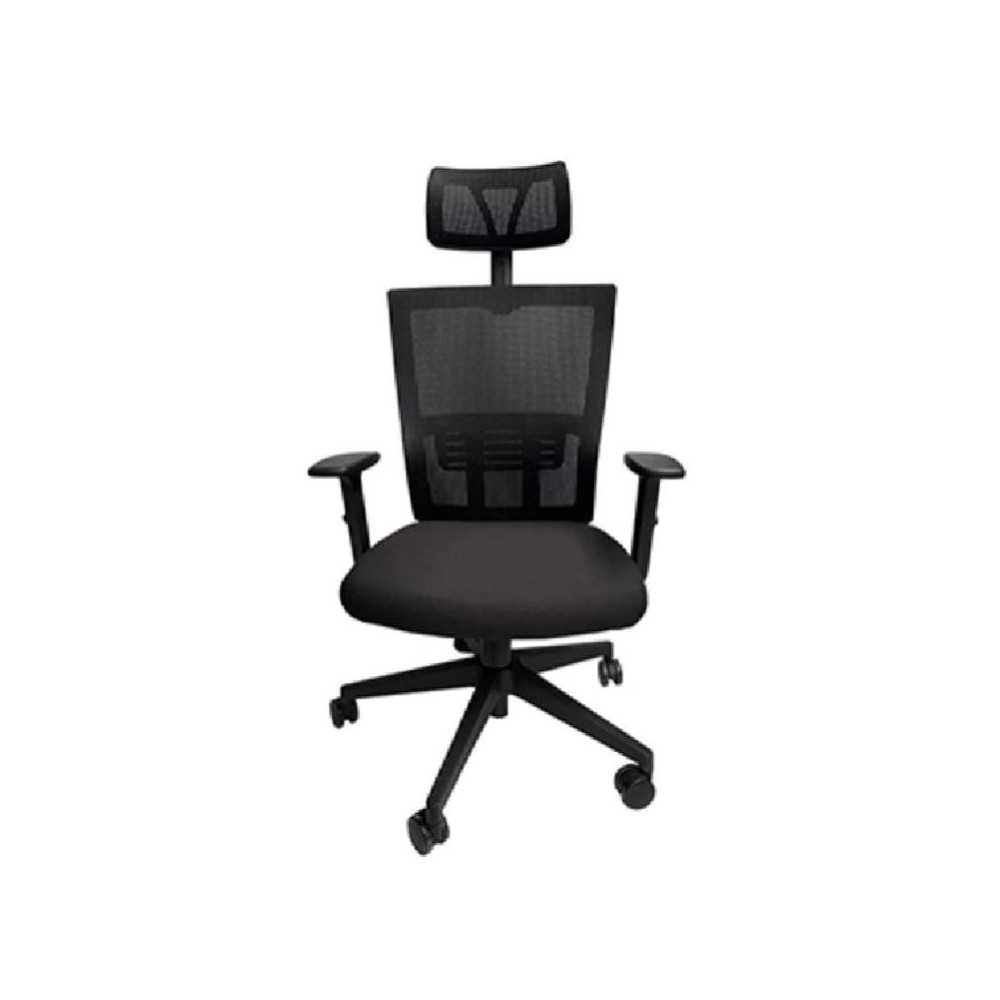 Silla Evolution
