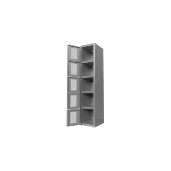 Locker métalico 5 puertas