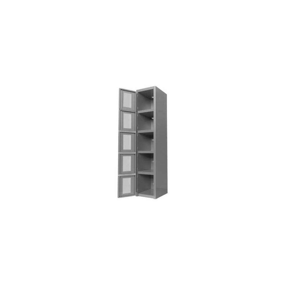 Locker métalico 5 puertas