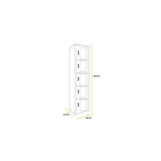 Locker métalico 5 puertas
