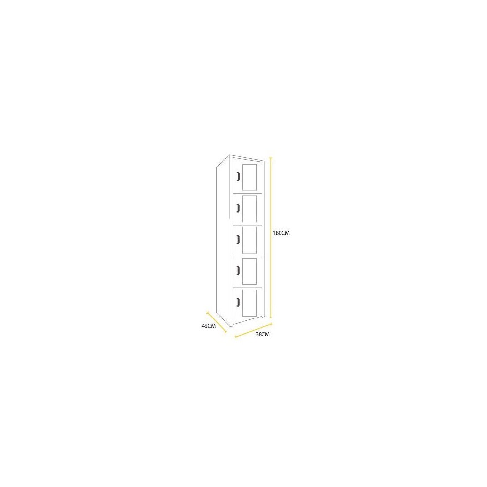 Locker métalico 5 puertas