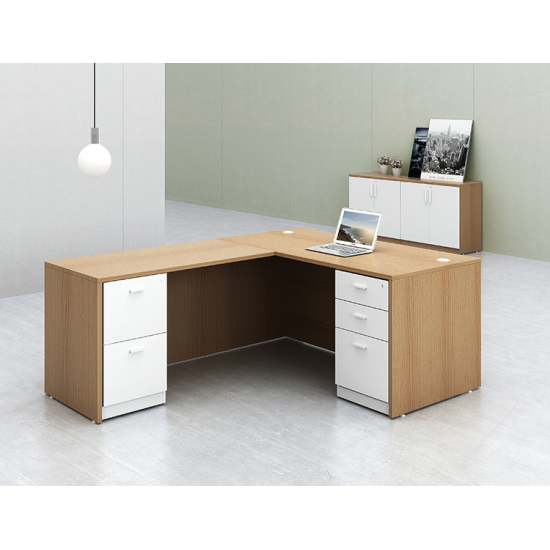 Evolution NordicPro L-Executive