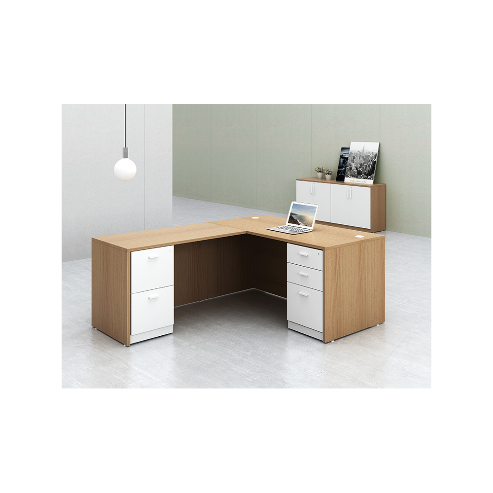 Evolution NordicPro L-Executive