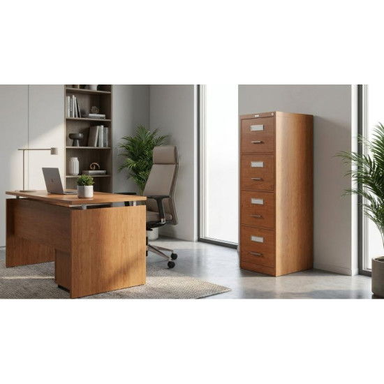 Archivero Evolution
