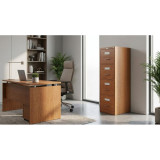 Archivero Evolution