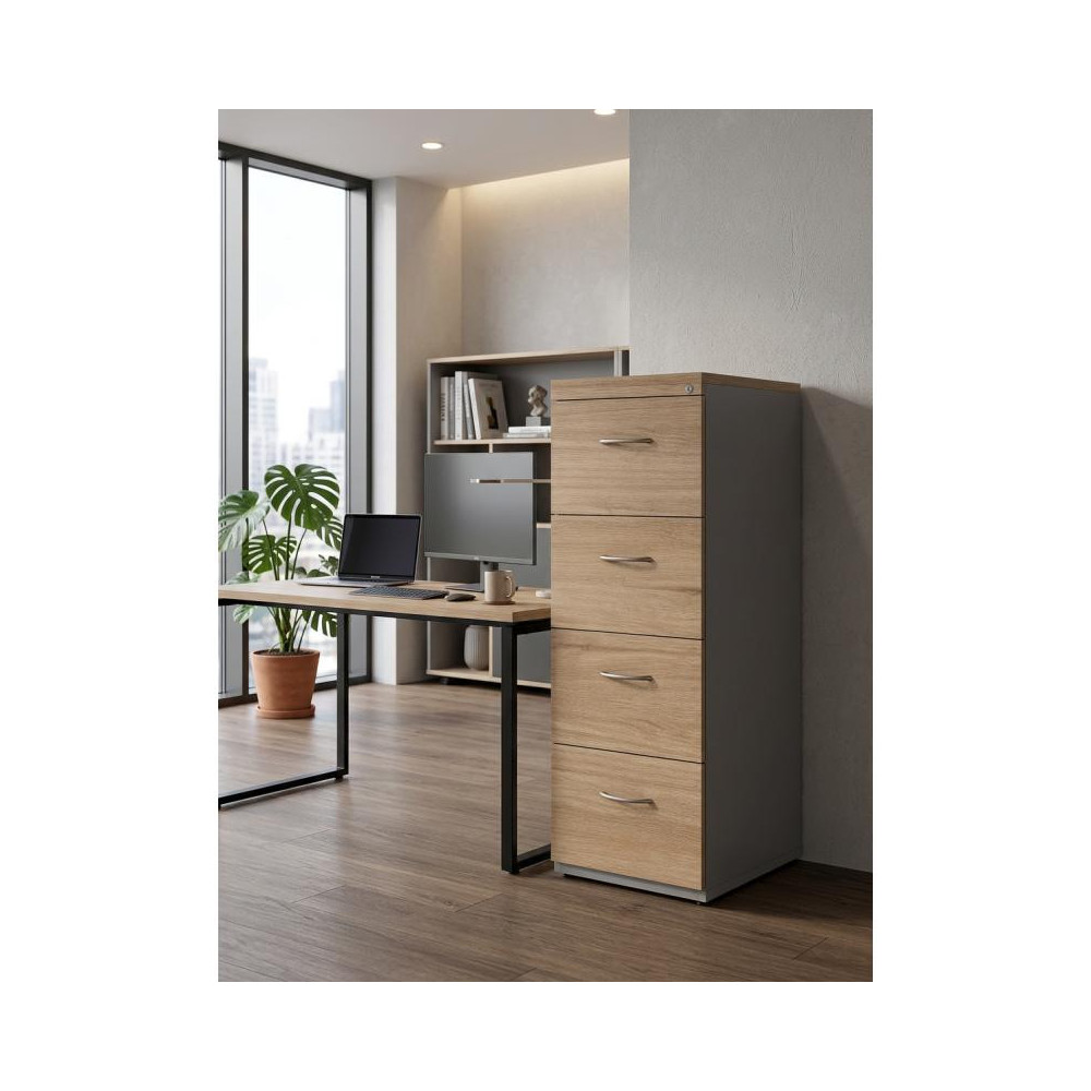 Archivero Litte
