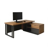 CONJUNTO CEO SAFETY